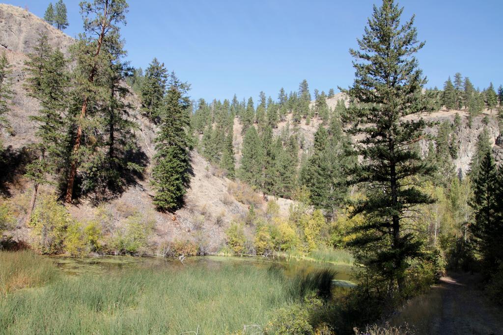 Mountain Springs Nature Retreat Bed & Breakfast